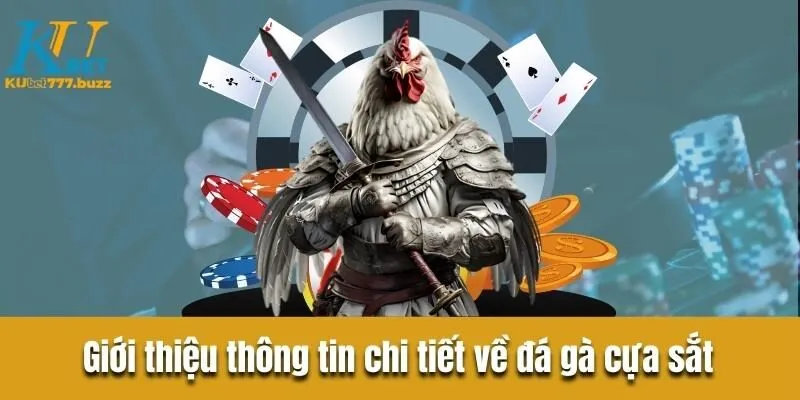 Đá gà cựa sắt - Bật mí chiến thuật và lựa chọn chiến kê tốt Giới thiệu thông tin chi tiết về đá gà cựa sắt